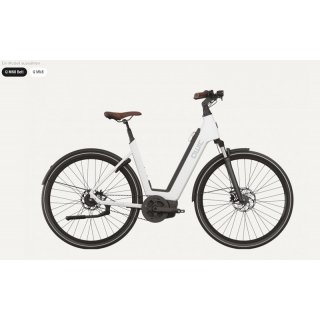 Premium Q  MN8 mit Riemenantrieb