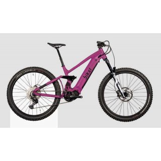 Bikel  Steinbock Ibex Plus